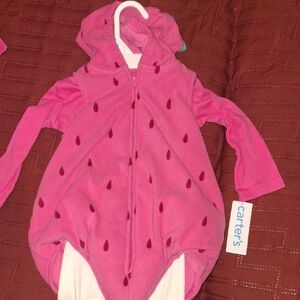 Carter's Pink Watermelon Hooded Costume